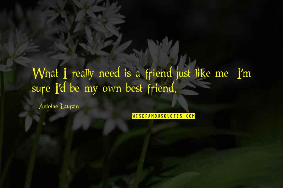 Laurain Quotes By Antoine Laurain: What I really need is a friend just