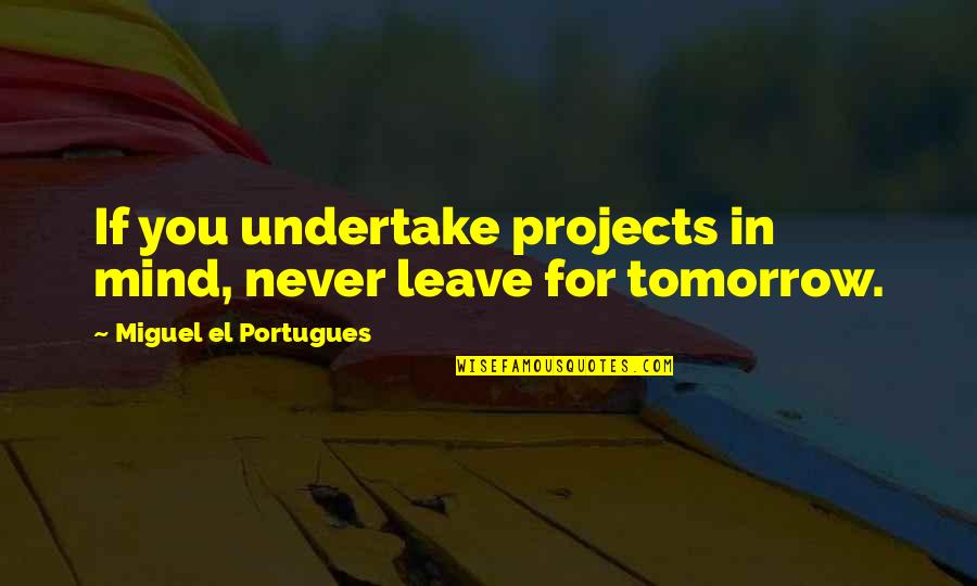 Lauranne Cookie Quotes By Miguel El Portugues: If you undertake projects in mind, never leave