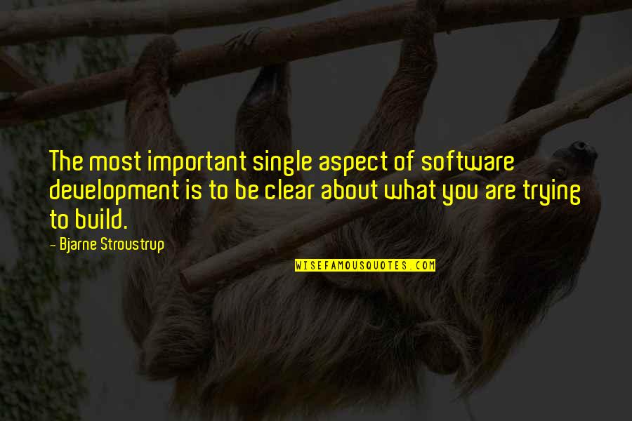 Lauren Bacall Famous Quotes By Bjarne Stroustrup: The most important single aspect of software development