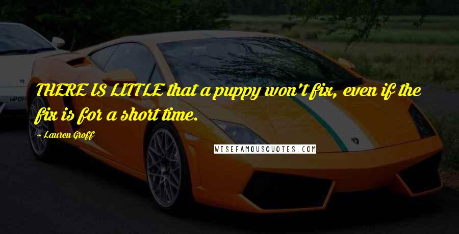 Lauren Groff quotes: THERE IS LITTLE that a puppy won't fix, even if the fix is for a short time.