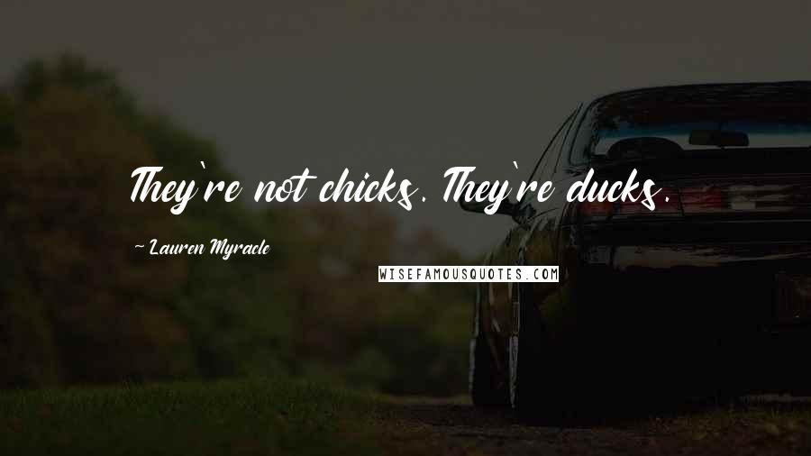 Lauren Myracle quotes: They're not chicks. They're ducks.