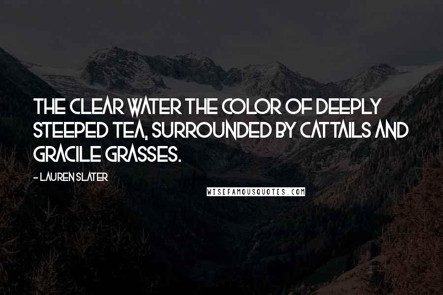 Lauren Slater quotes: The clear water the color of deeply steeped tea, surrounded by cattails and gracile grasses.