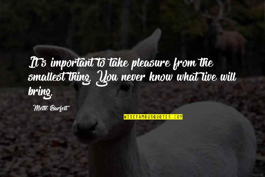 Lauren Socha Quotes By Mette Barfelt: It's important to take pleasure from the smallest Lauren Socha Quotes By Mette Barfelt: It's important to take pleasure from the smallest