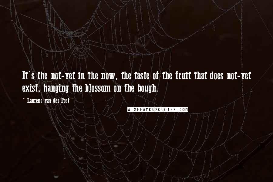 Laurens Van Der Post quotes: It's the not-yet in the now, the taste of the fruit that does not-yet exist, hanging the blossom on the bough.