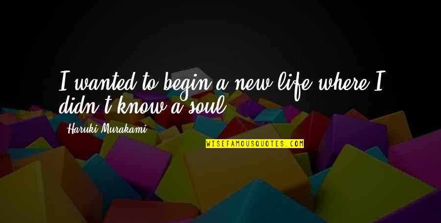 Lauriergracht 116 Quotes By Haruki Murakami: I wanted to begin a new life where Lauriergracht 116 Quotes By Haruki Murakami: I wanted to begin a new life where