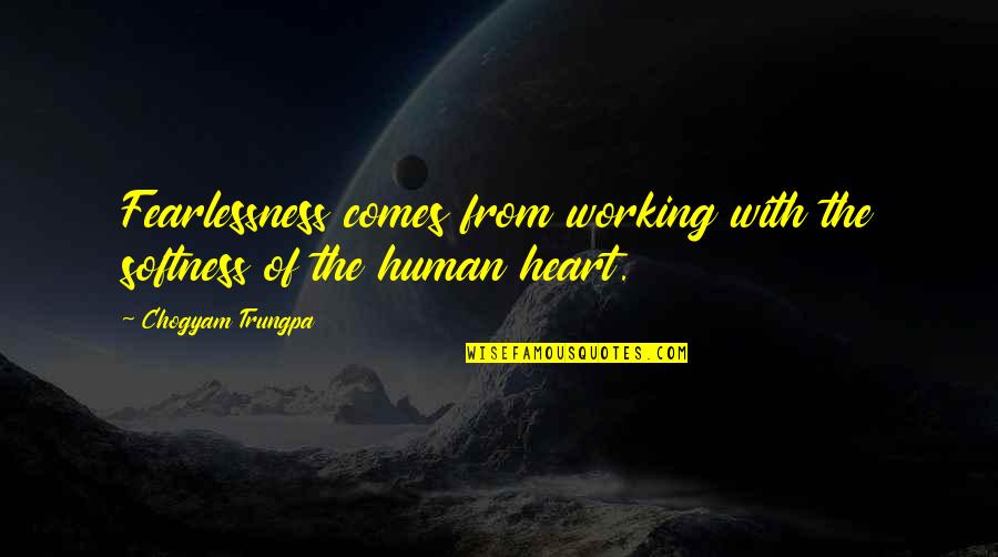 Laurion Fenyx Quotes By Chogyam Trungpa: Fearlessness comes from working with the softness of Laurion Fenyx Quotes By Chogyam Trungpa: Fearlessness comes from working with the softness of