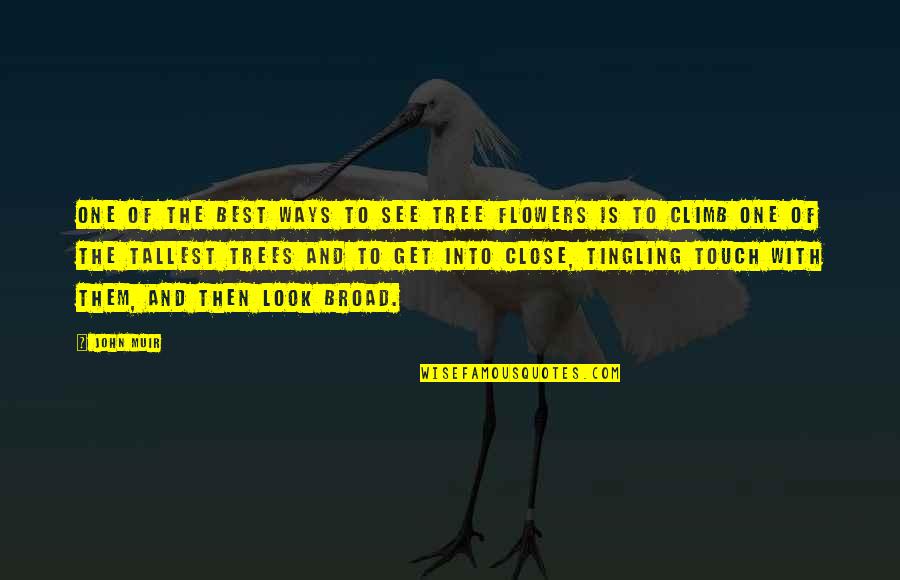 Laurore Boreale Quotes By John Muir: One of the best ways to see tree