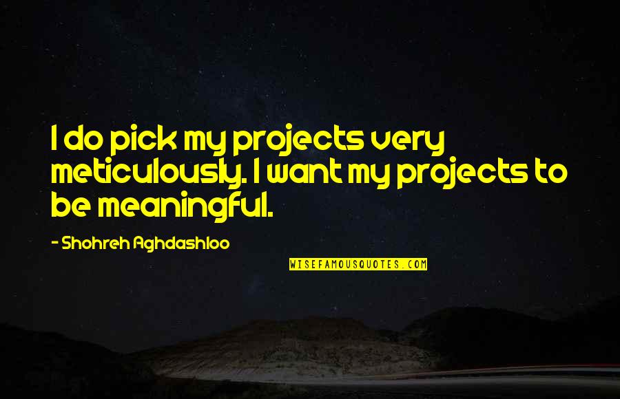 Lautermilch Translation Quotes By Shohreh Aghdashloo: I do pick my projects very meticulously. I Lautermilch Translation Quotes By Shohreh Aghdashloo: I do pick my projects very meticulously. I