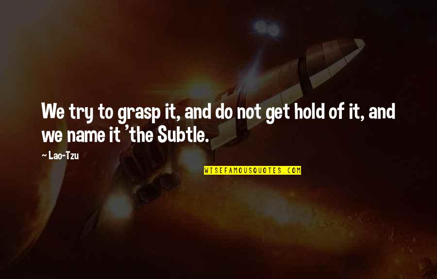 Lautruppark Quotes By Lao-Tzu: We try to grasp it, and do not