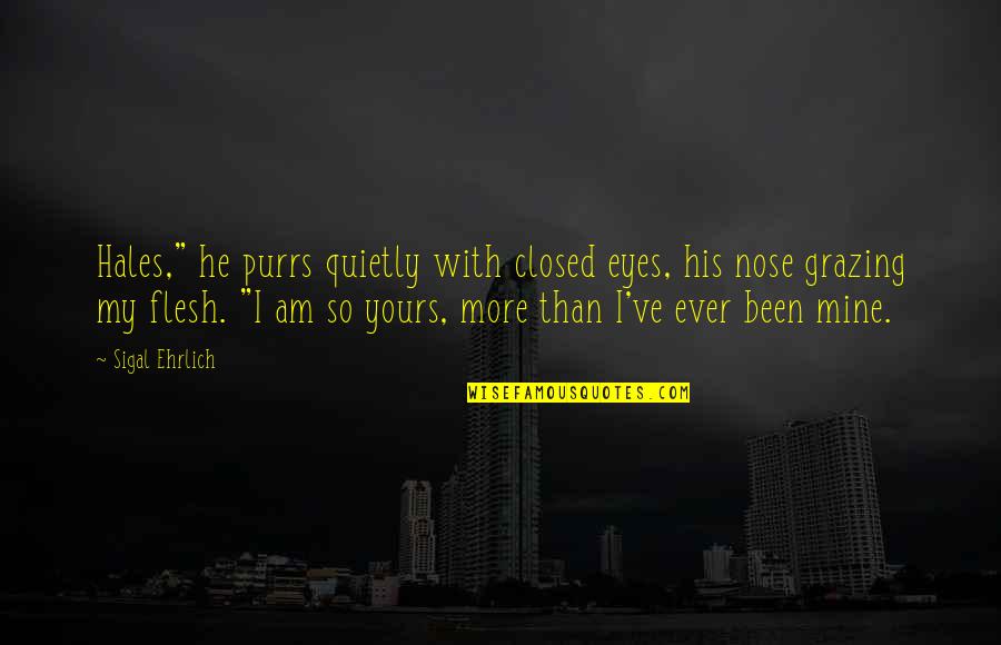 Lauwencia Quotes By Sigal Ehrlich: Hales," he purrs quietly with closed eyes, his Lauwencia Quotes By Sigal Ehrlich: Hales," he purrs quietly with closed eyes, his