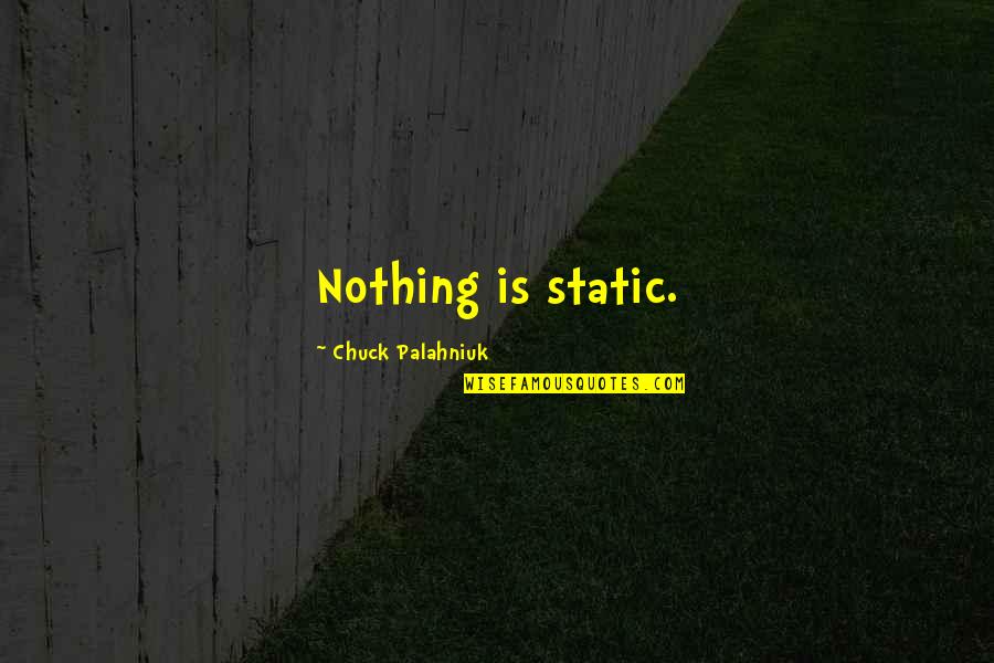 Lavamos De Banos Quotes By Chuck Palahniuk: Nothing is static.