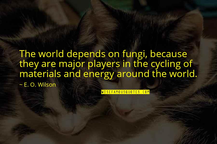 Lavenza Quotes By E. O. Wilson: The world depends on fungi, because they are