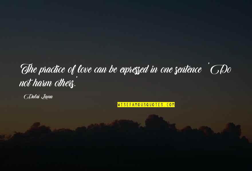 Lavessence Quotes By Dalai Lama: The practice of love can be expressed in