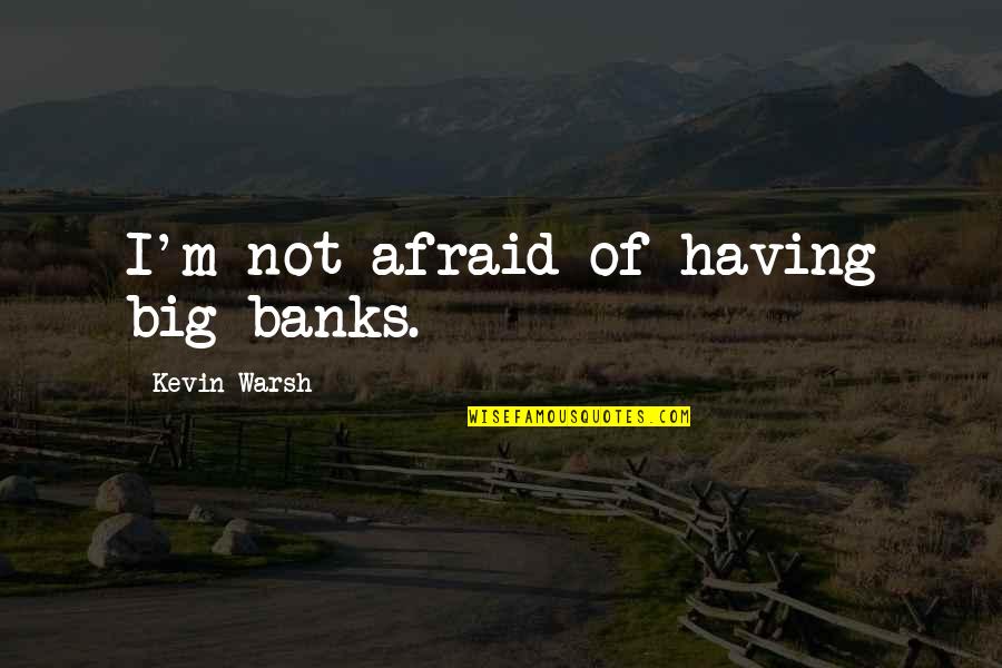 Lavion Ga Quotes By Kevin Warsh: I'm not afraid of having big banks. Lavion Ga Quotes By Kevin Warsh: I'm not afraid of having big banks.