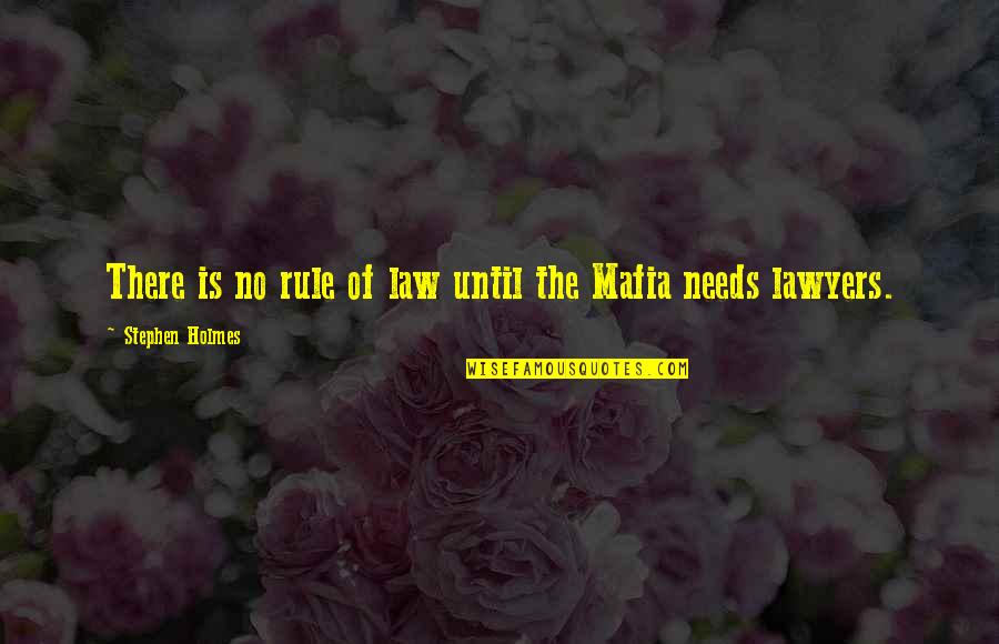 Law And Lawyers Quotes By Stephen Holmes: There is no rule of law until the