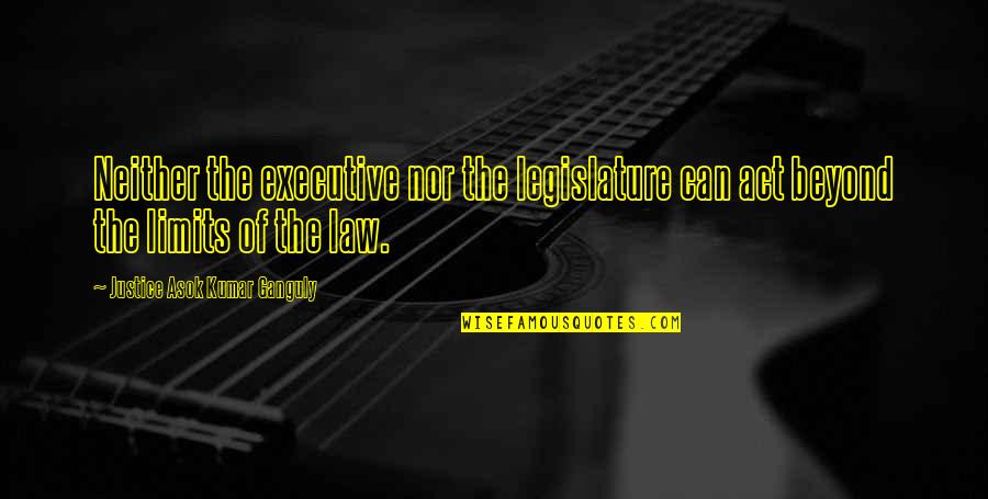Law Is Not Justice Quotes By Justice Asok Kumar Ganguly: Neither the executive nor the legislature can act Law Is Not Justice Quotes By Justice Asok Kumar Ganguly: Neither the executive nor the legislature can act