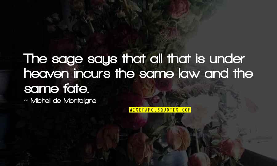 Law Is Quotes By Michel De Montaigne: The sage says that all that is under