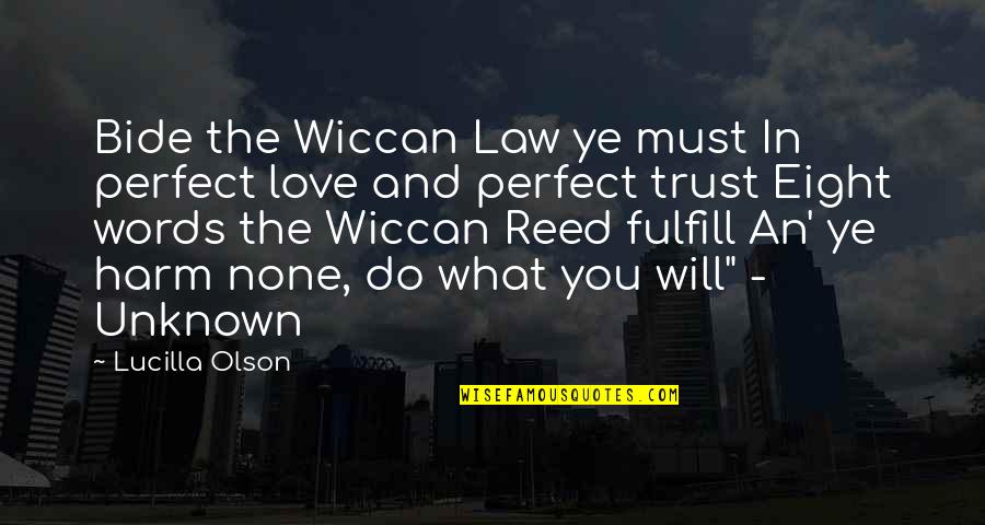 Law Love Quotes By Lucilla Olson: Bide the Wiccan Law ye must In perfect