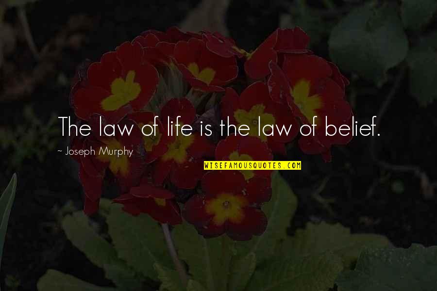 Law Of Belief Quotes By Joseph Murphy: The law of life is the law of
