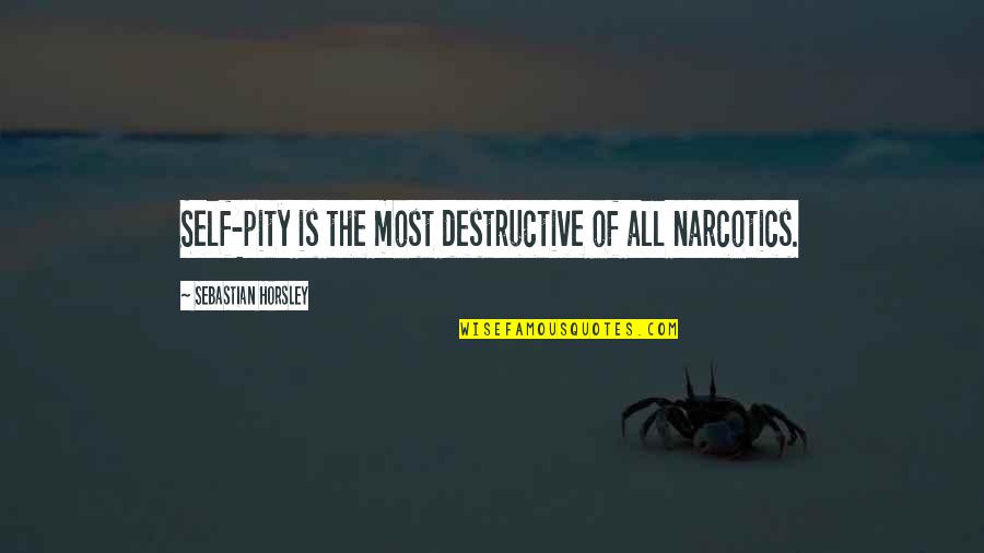 Law Of Diminishing Marginal Utility Quotes By Sebastian Horsley: Self-pity is the most destructive of all narcotics. Law Of Diminishing Marginal Utility Quotes By Sebastian Horsley: Self-pity is the most destructive of all narcotics.