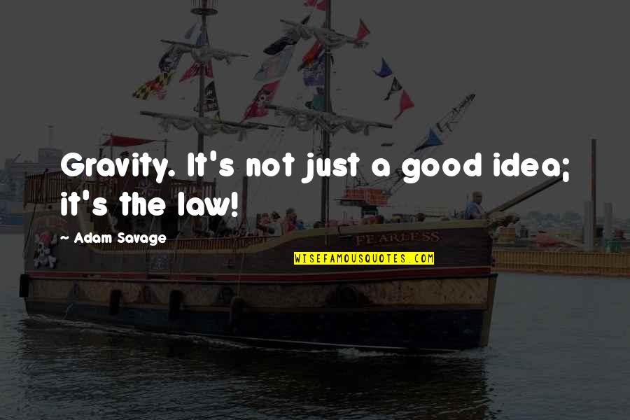 Law Of Gravity Quotes By Adam Savage: Gravity. It's not just a good idea; it's Law Of Gravity Quotes By Adam Savage: Gravity. It's not just a good idea; it's