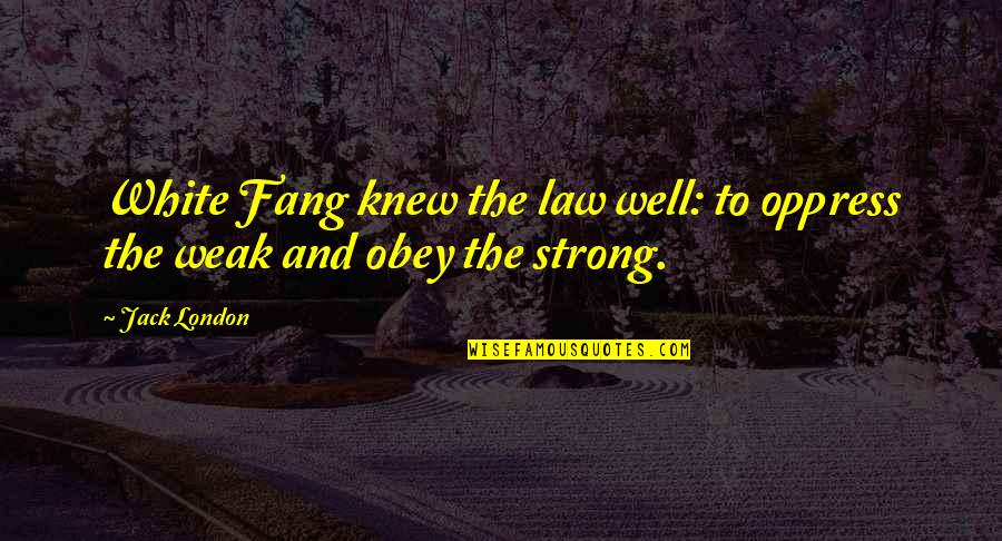 Law Of The Jungle Quotes By Jack London: White Fang knew the law well: to oppress