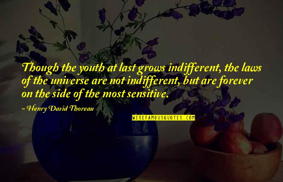 Law Of Universe Quotes By Henry David Thoreau: Though the youth at last grows indifferent, the Law Of Universe Quotes By Henry David Thoreau: Though the youth at last grows indifferent, the