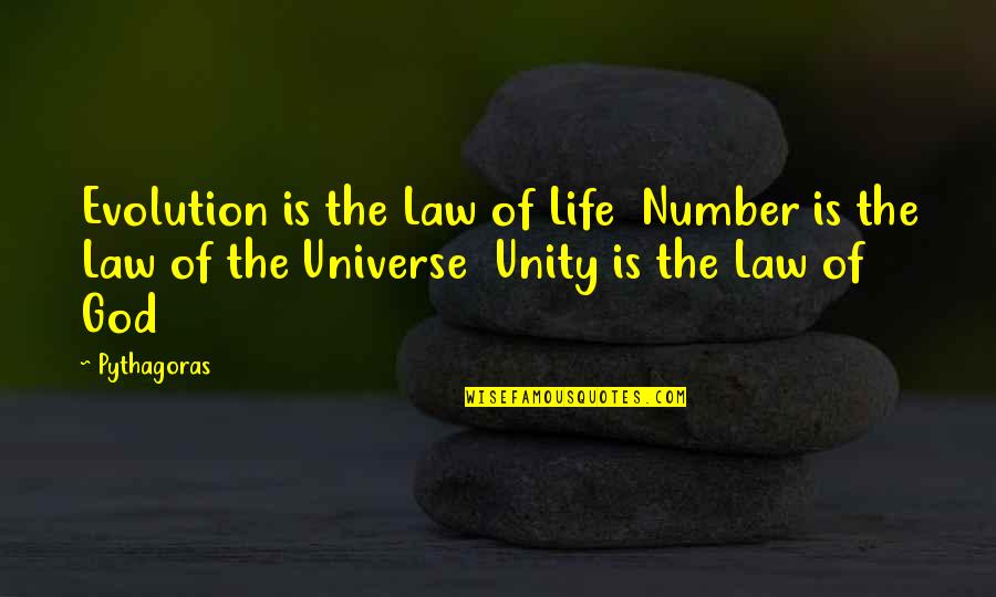 Law Of Universe Quotes By Pythagoras: Evolution is the Law of Life Number is