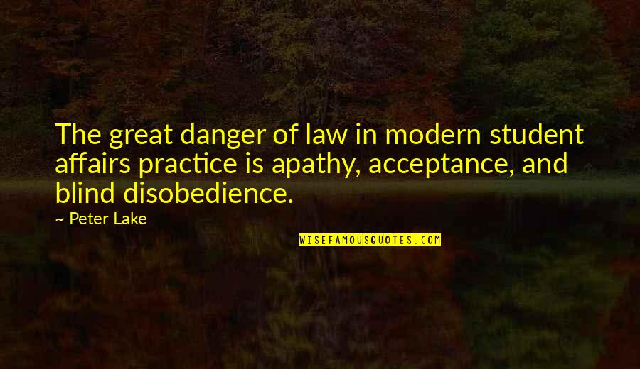 Law Practice Quotes By Peter Lake: The great danger of law in modern student