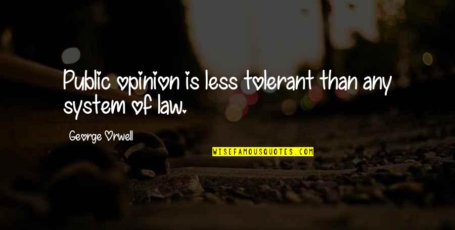 Law Rules Quotes By George Orwell: Public opinion is less tolerant than any system Law Rules Quotes By George Orwell: Public opinion is less tolerant than any system