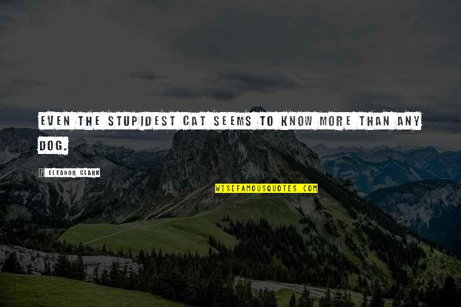 Law Student Motivation Quotes By Eleanor Clark: Even the stupidest cat seems to know more Law Student Motivation Quotes By Eleanor Clark: Even the stupidest cat seems to know more