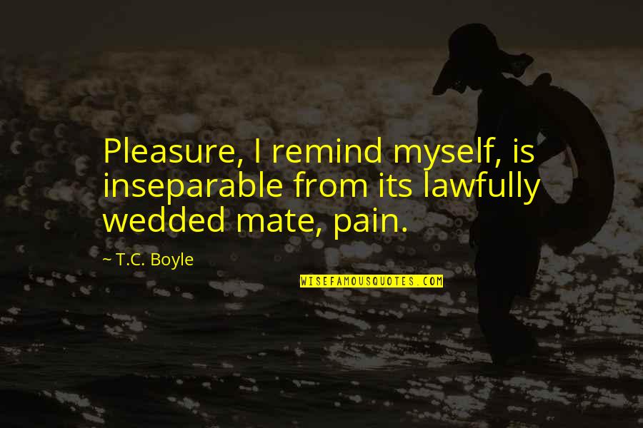 Lawfully Wedded Quotes By T.C. Boyle: Pleasure, I remind myself, is inseparable from its