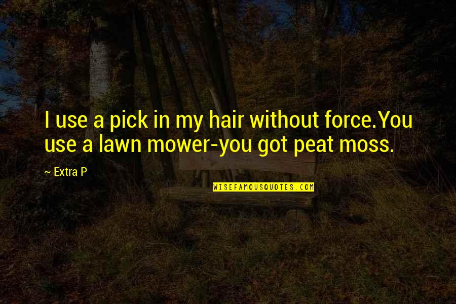 Lawn Mower Quotes By Extra P: I use a pick in my hair without