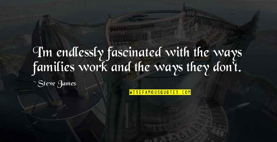 Lawof Attraction Quotes By Steve James: I'm endlessly fascinated with the ways families work