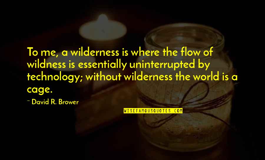 Lawrence Herkimer Quotes By David R. Brower: To me, a wilderness is where the flow