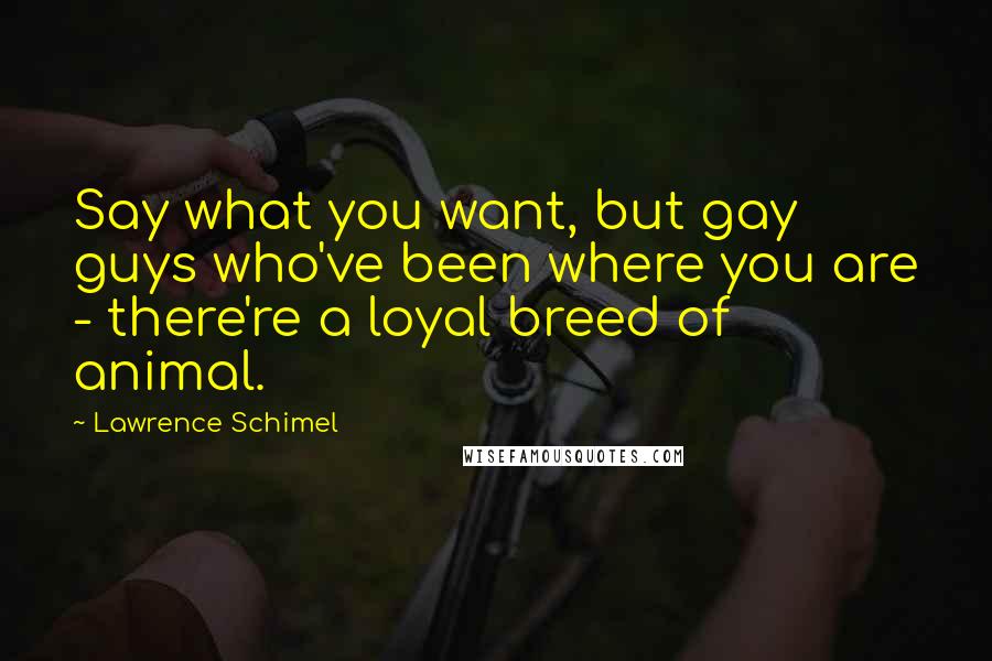 Lawrence Schimel quotes: Say what you want, but gay guys who've been where you are - there're a loyal breed of animal.
