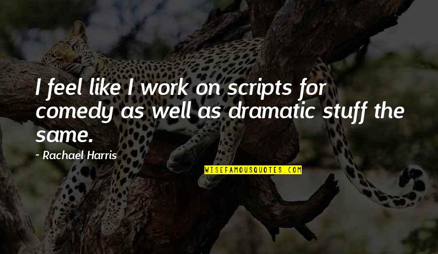 Laws And Regulations Quotes By Rachael Harris: I feel like I work on scripts for
