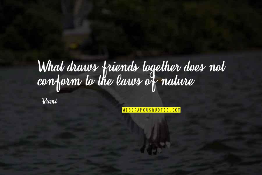 Laws Of Nature Quotes By Rumi: What draws friends together does not conform to