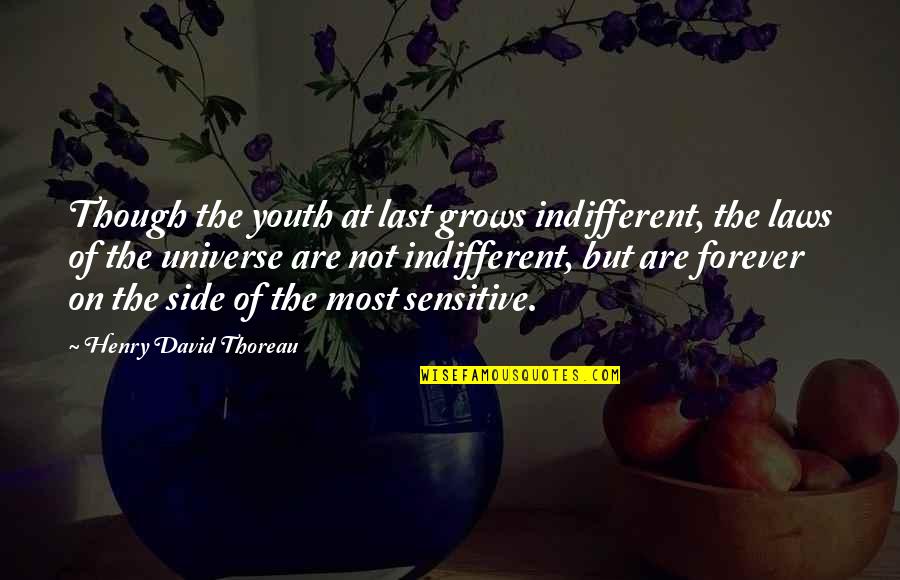 Laws Of The Universe Quotes By Henry David Thoreau: Though the youth at last grows indifferent, the