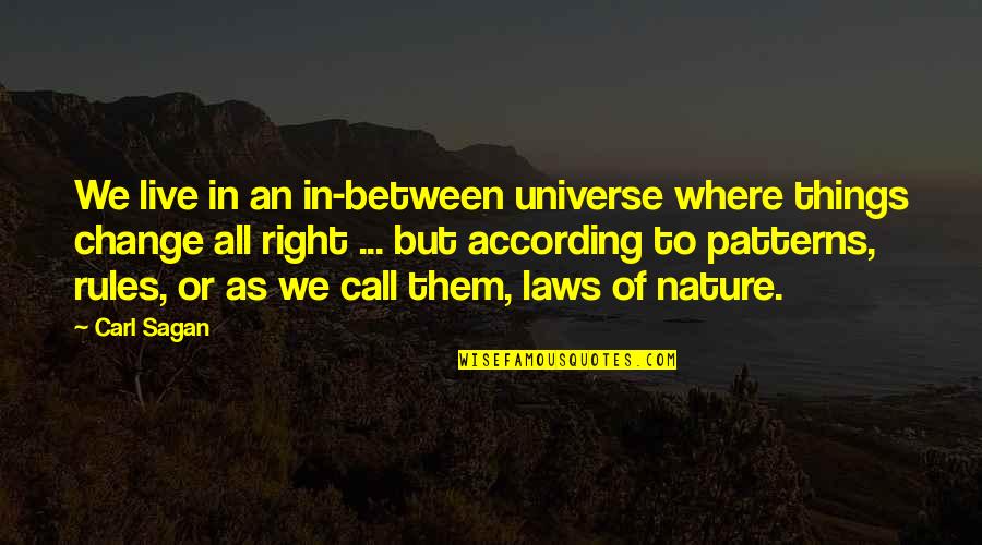 Laws Of Universe Quotes By Carl Sagan: We live in an in-between universe where things