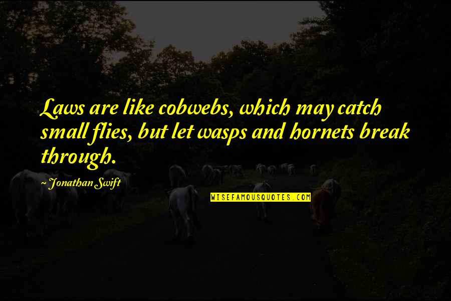 Laws Which Quotes By Jonathan Swift: Laws are like cobwebs, which may catch small Laws Which Quotes By Jonathan Swift: Laws are like cobwebs, which may catch small
