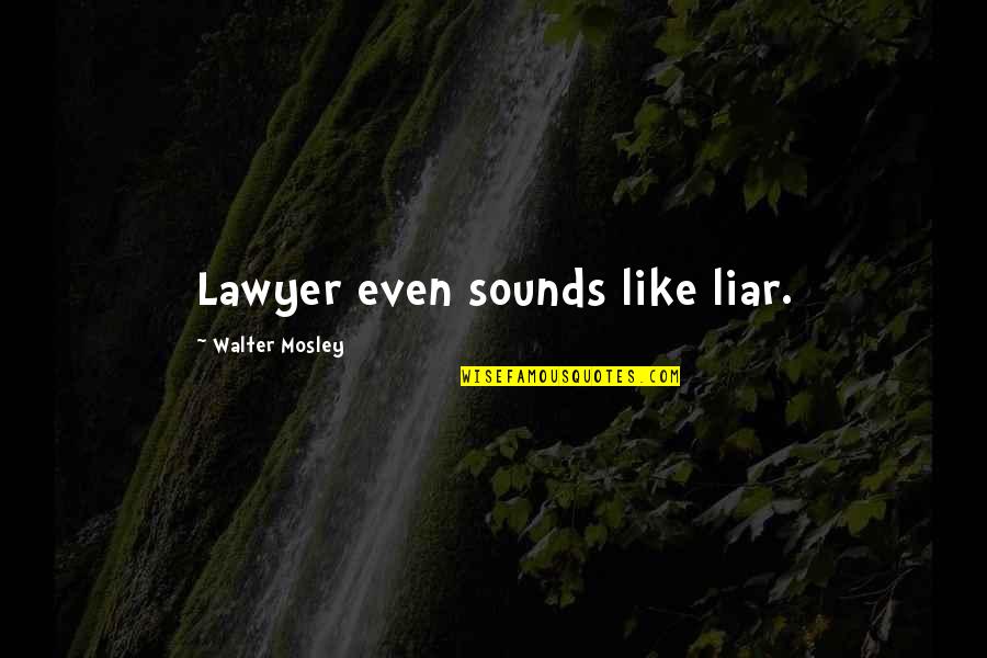 Lawyer Quotes By Walter Mosley: Lawyer even sounds like liar.