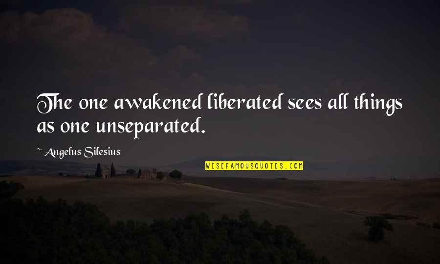 Lawyerly Group Quotes By Angelus Silesius: The one awakened liberated sees all things as