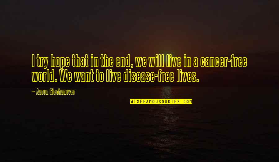 Lawyers Title Quotes By Aaron Ciechanover: I try hope that in the end, we