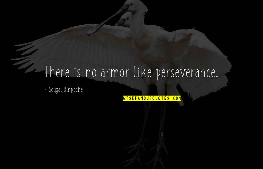 Laxness Def Quotes By Sogyal Rinpoche: There is no armor like perseverance.