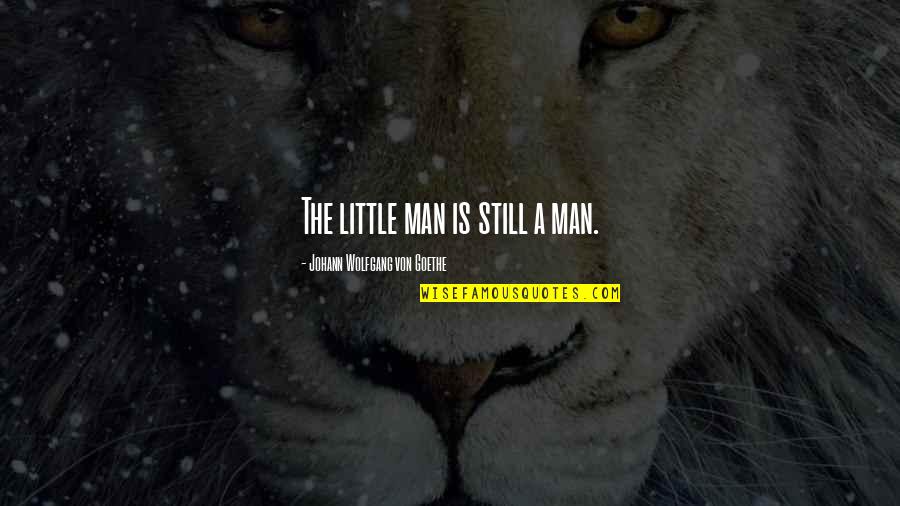 Laylatul Qadr Picture Quotes By Johann Wolfgang Von Goethe: The little man is still a man.