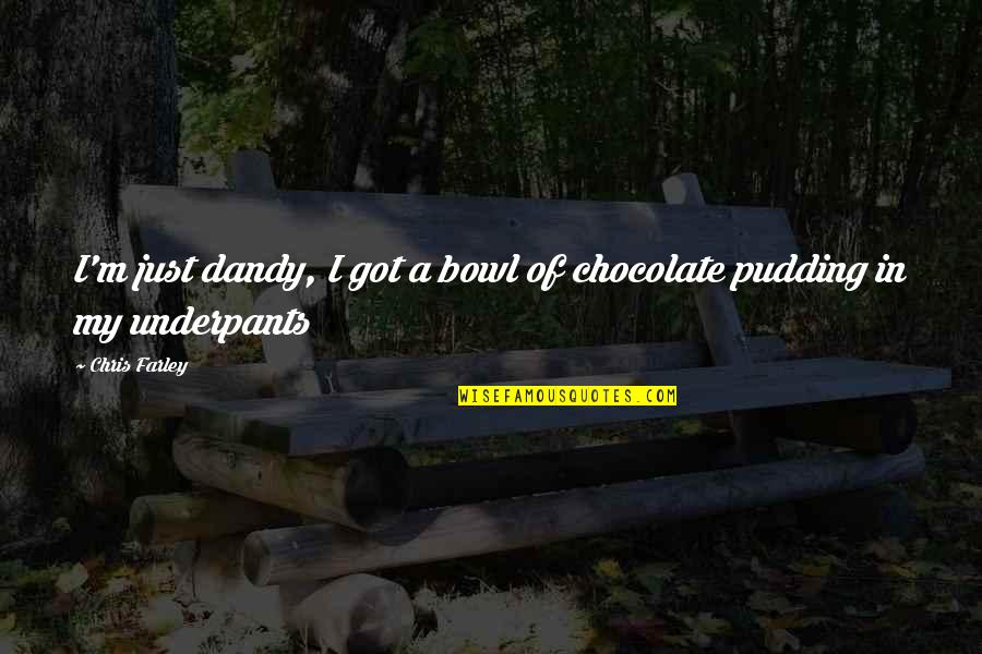 Layover Nails Quotes By Chris Farley: I'm just dandy, I got a bowl of