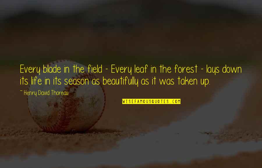 Lays Quotes By Henry David Thoreau: Every blade in the field - Every leaf Lays Quotes By Henry David Thoreau: Every blade in the field - Every leaf