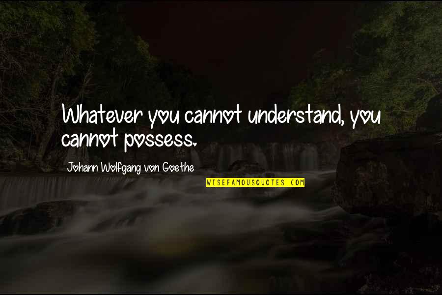 Lazier Faire Quotes By Johann Wolfgang Von Goethe: Whatever you cannot understand, you cannot possess.