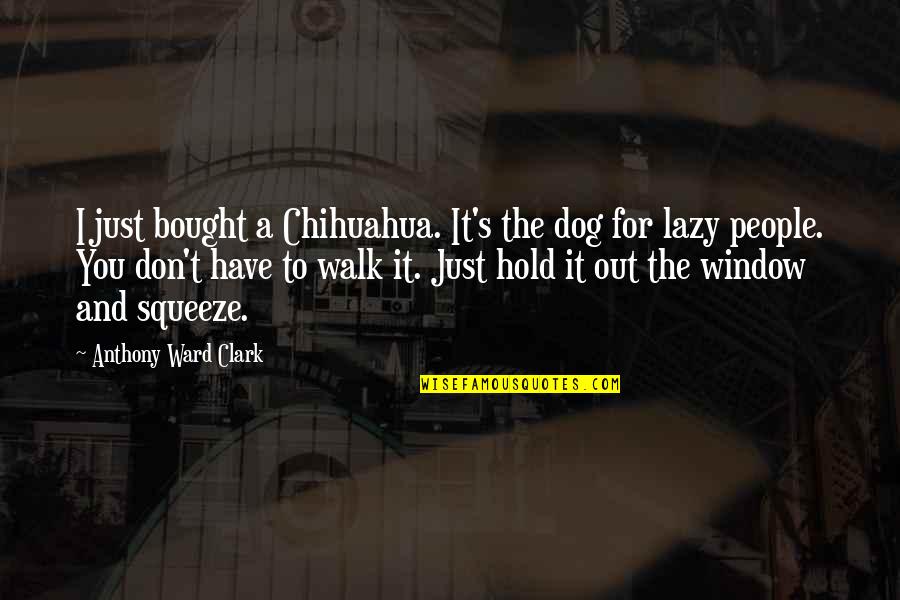 Lazy Dog Quotes By Anthony Ward Clark: I just bought a Chihuahua. It's the dog